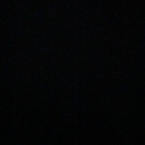 Meet your Posher, Isabella